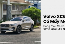 Volvo XC60 Có Mấy Màu | Bảng Màu Volvo XC60 2026 Mới Nhất