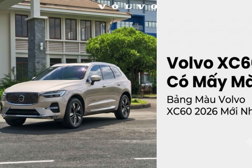 Volvo XC60 Có Mấy Màu | Bảng Màu Volvo XC60 2026 Mới Nhất