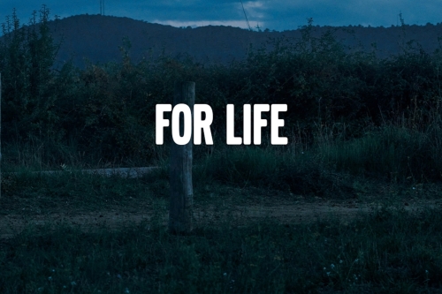 Sự Khác Biệt Của Volvo: Volvo Không Chỉ Là Một Chiếc Ô Tô?