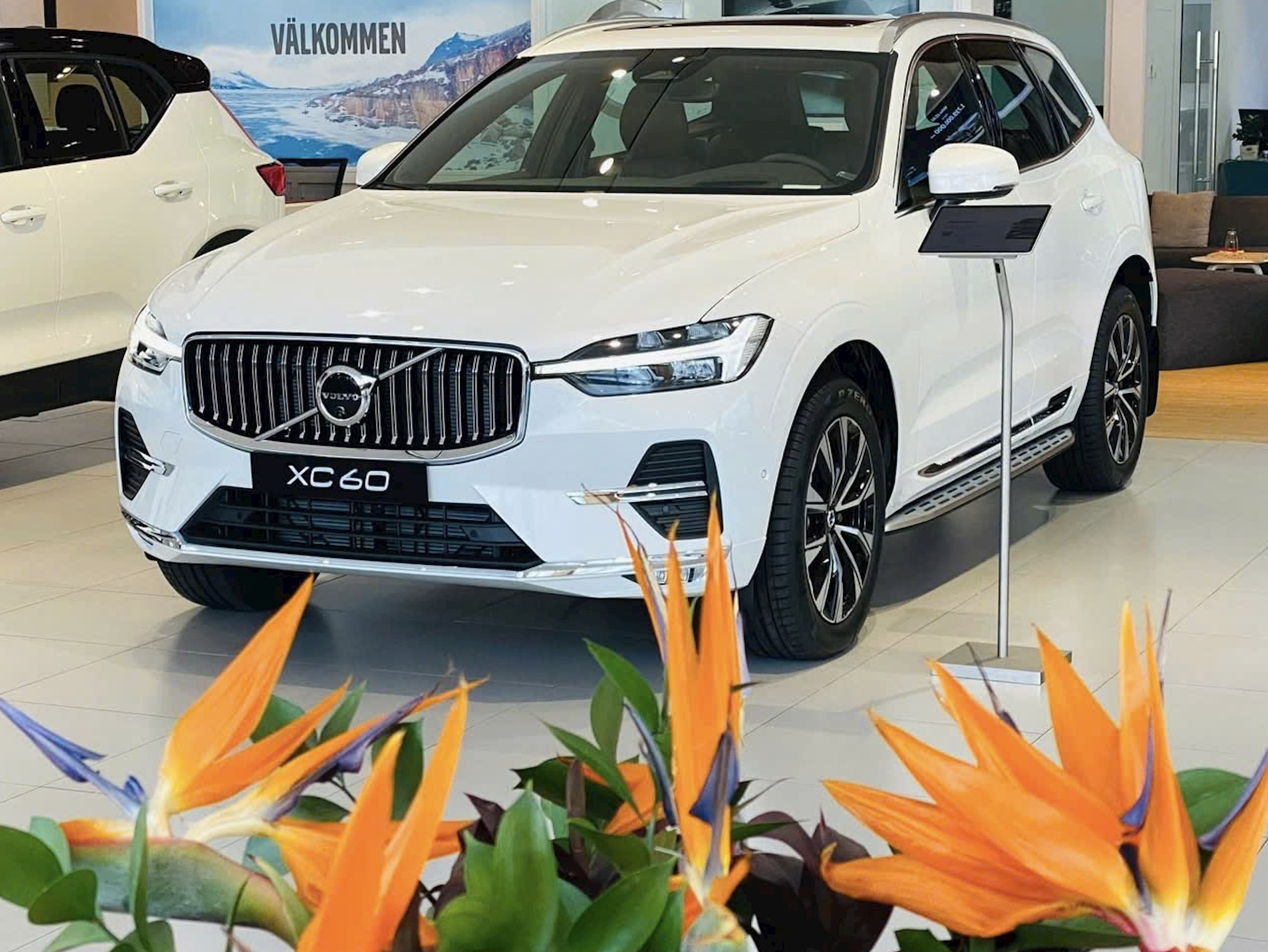 Volvo XC60 Ultra và XC60 Plug-in Hybrid Ultra tặng 1 năm bảo hiểm vật chất