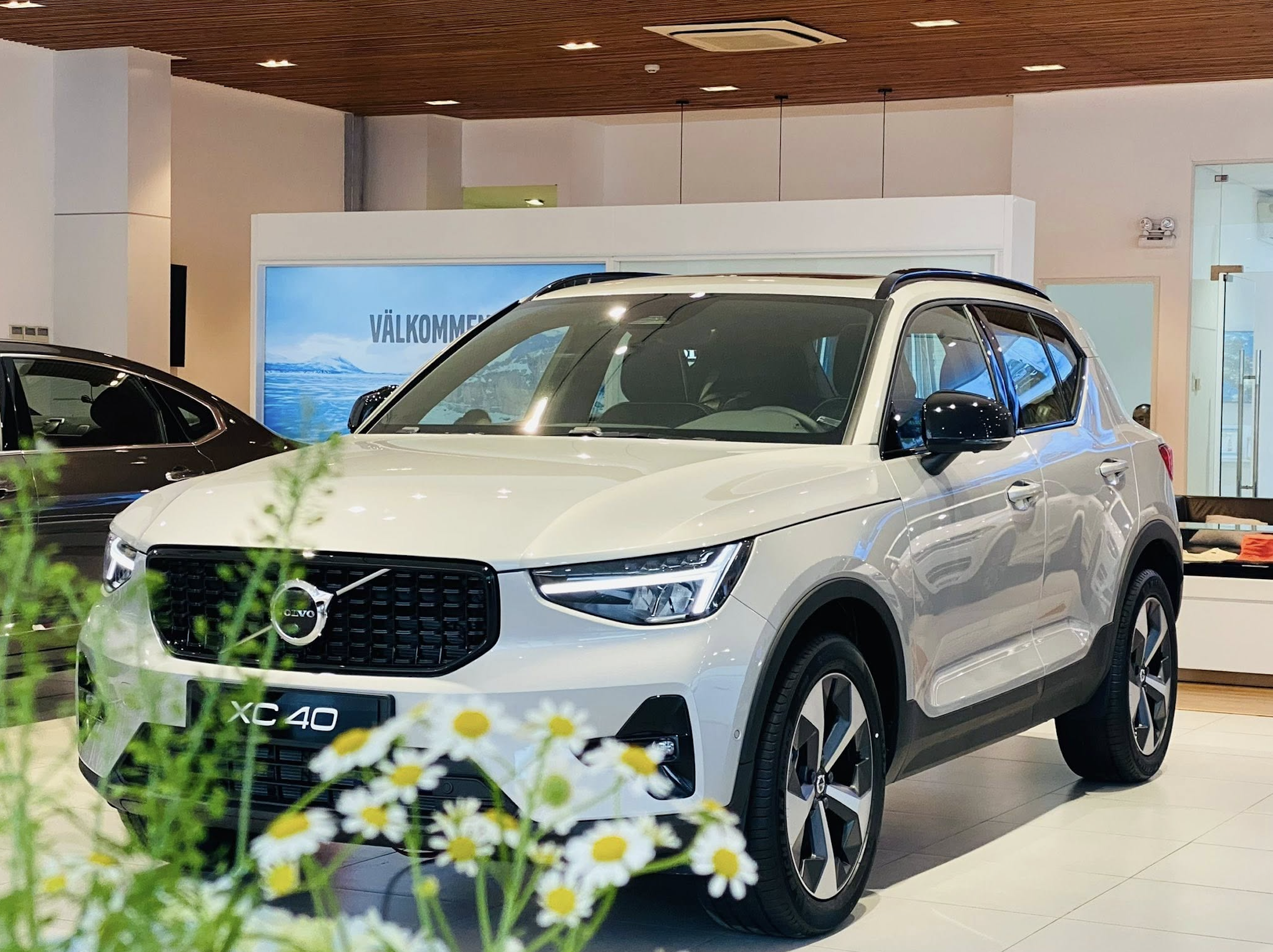 Giá Xe Volvo Tháng 7/2025