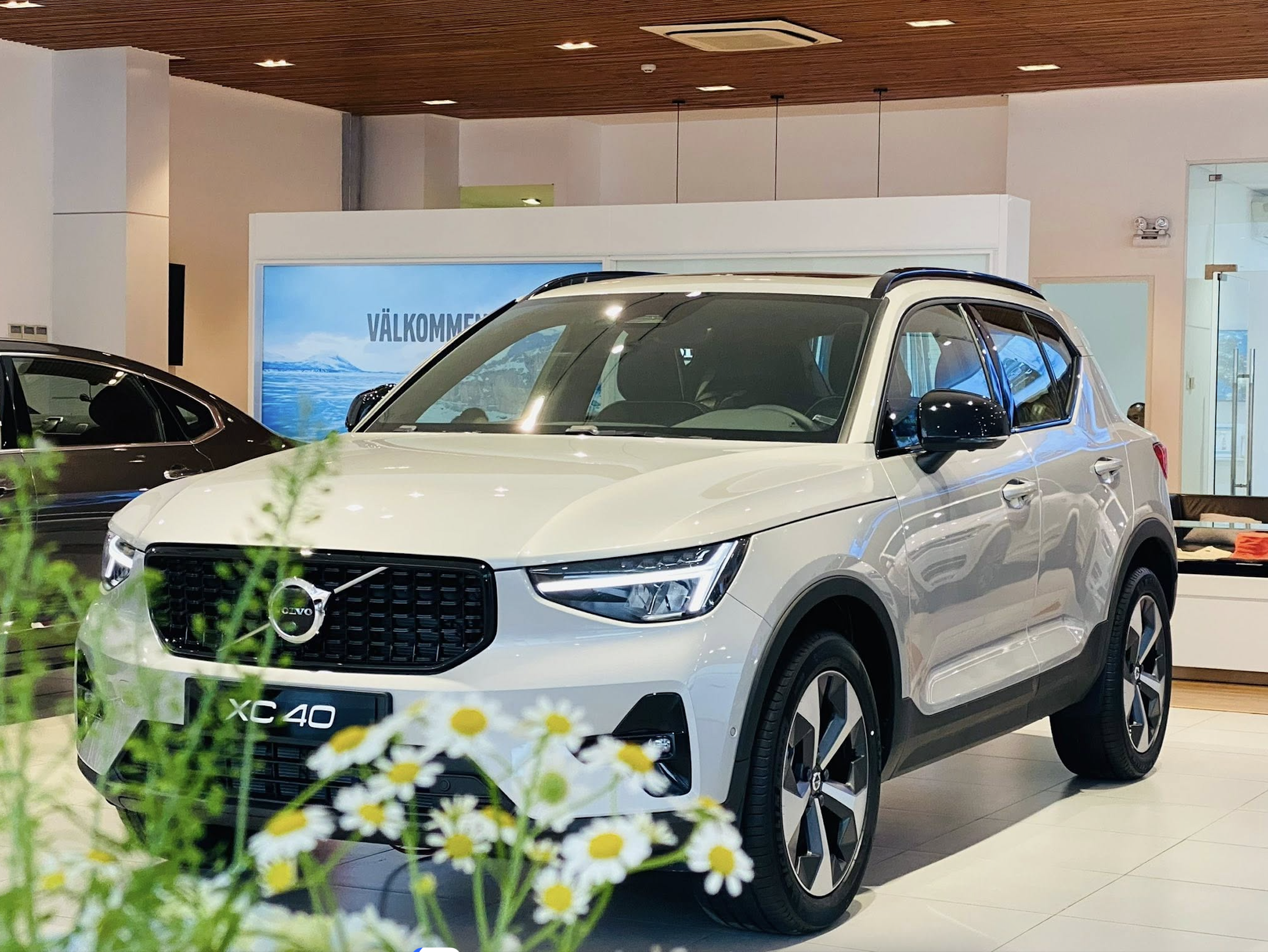 Volvo XC40: Ngoại Thất Và Nội Thất Có Những Màu Gì?