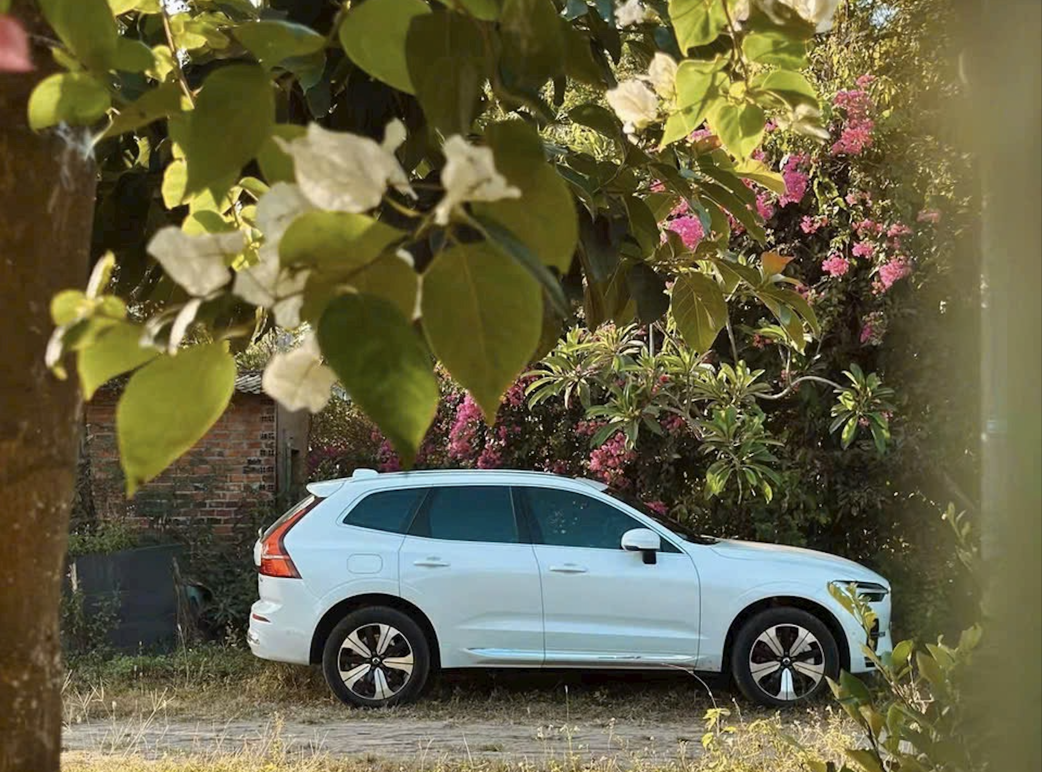 Volvo XC60: Ngoại Thất Và Nội Thất Có Những Màu Gì?