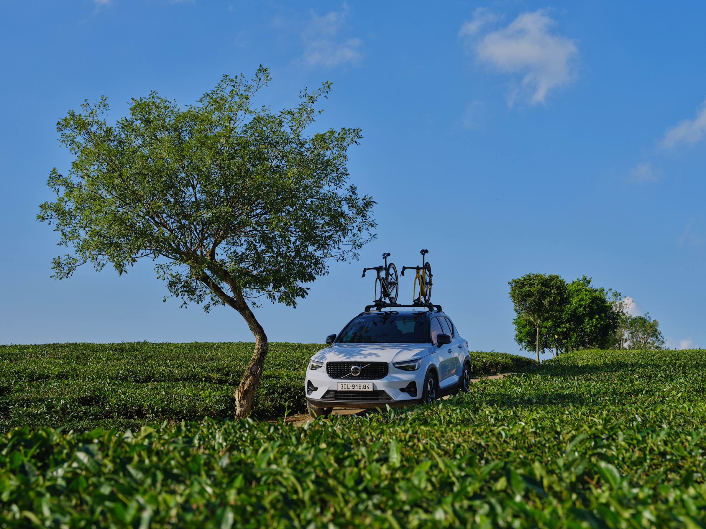 CHƯƠNG TRÌNH KHUYẾN MÃI GIÁ XE VOLVO THÁNG 11/2025