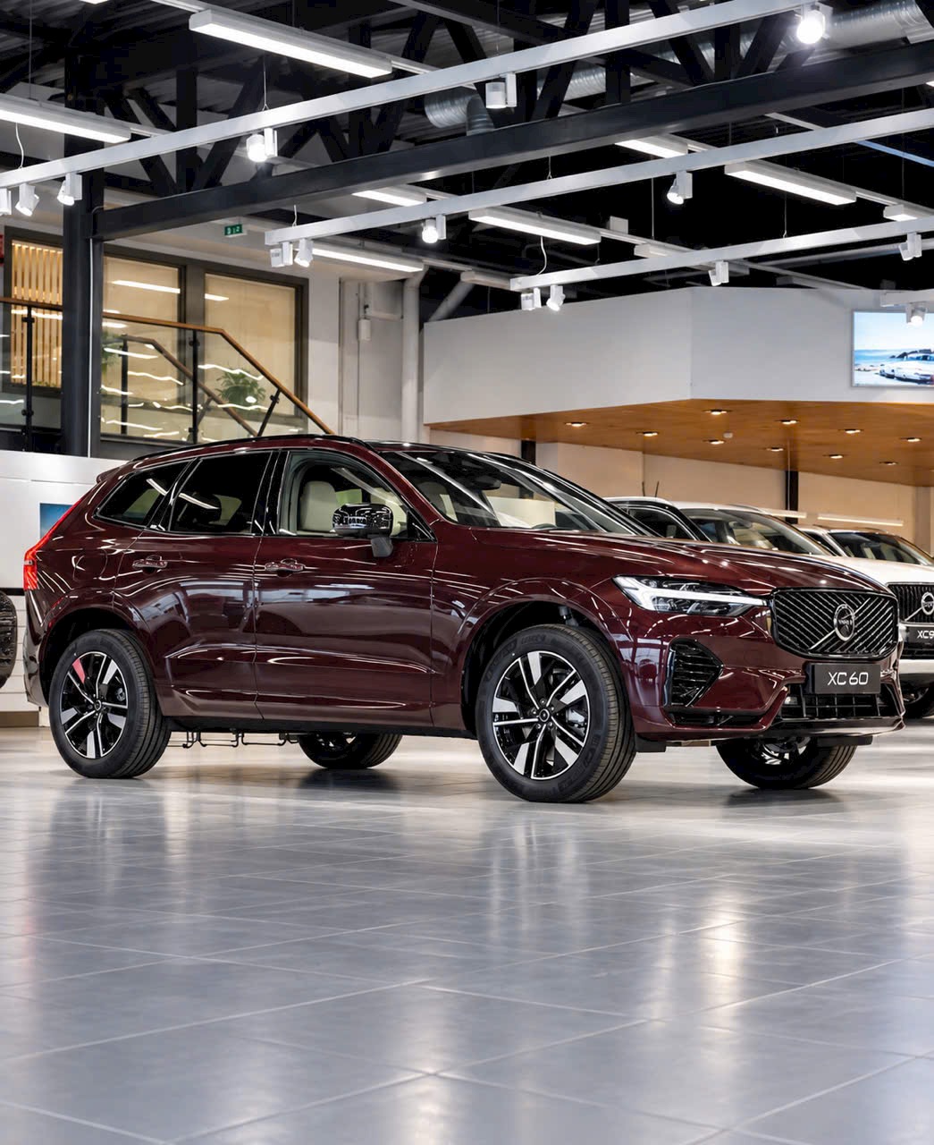 Volvo XC60 Màu Đỏ Mulberry Red 2026 hoàn toàn mới