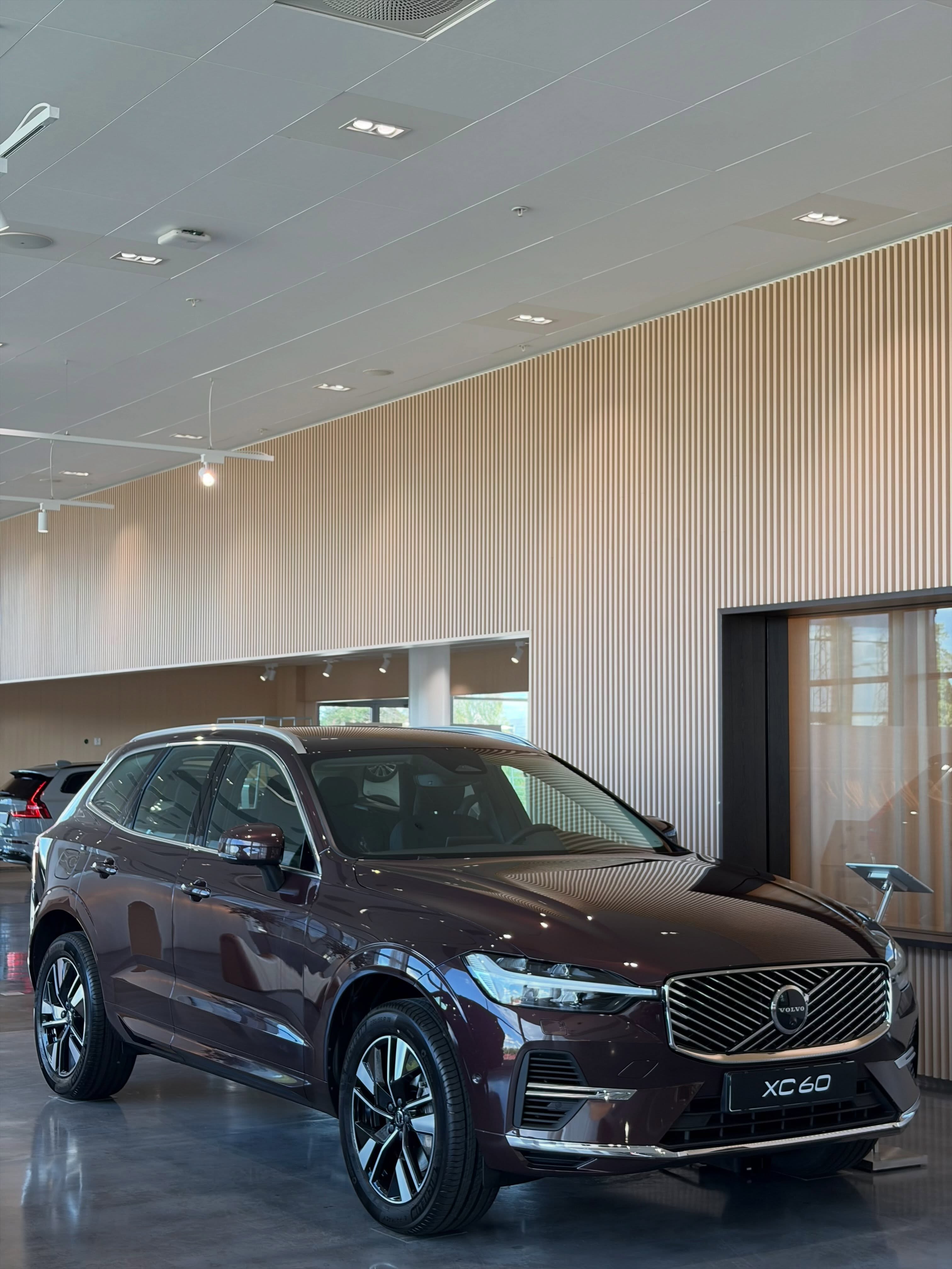 Ngoại thất Volvo XC60 đỏ mận ánh kim Mulberry Red
