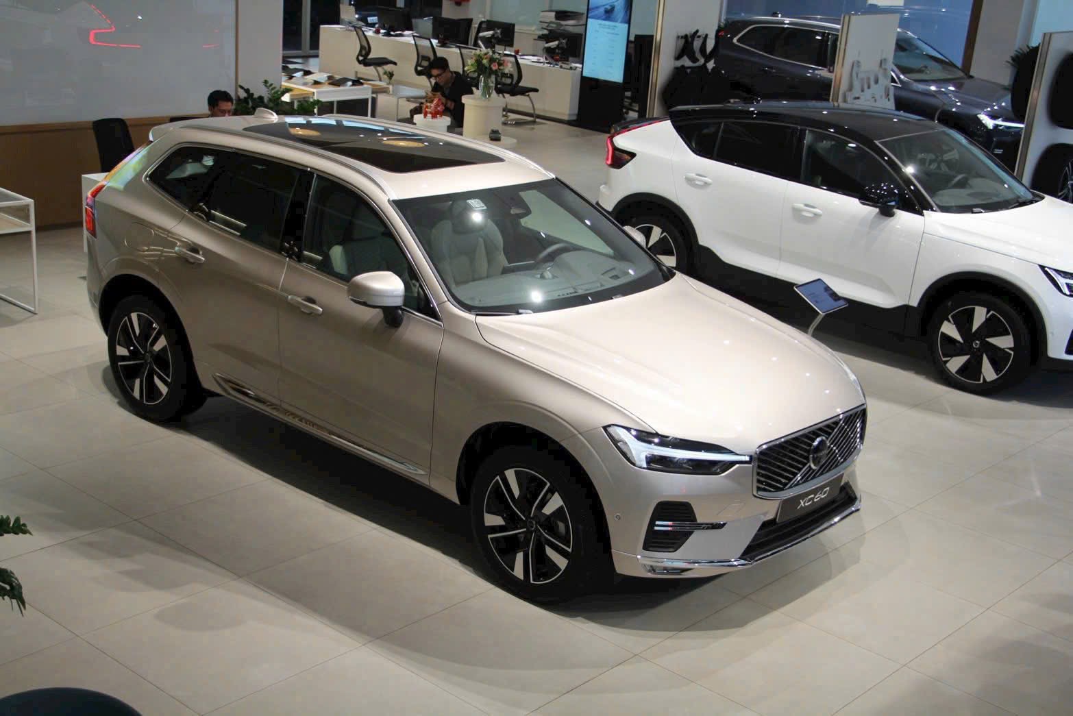 Volvo XC60 Có Mấy Màu? Bảng Màu XC60 2026 Mới Nhất